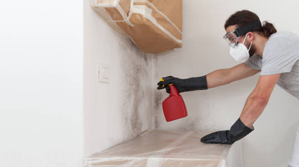 Professional Crawl Space Mold Remediation technician working in Spring Lake, MI