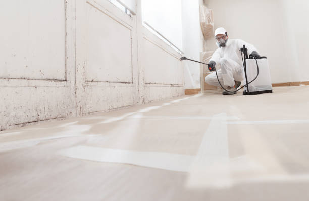 24/7 Emergency Crawl Space Mold Remediation experts in Spring Lake, MI