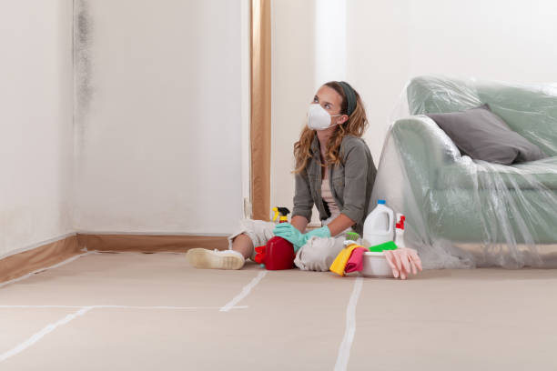 Reliable Crawl Space Mold Remediation contractor in Spring Lake, MI by Car Mold Remediation